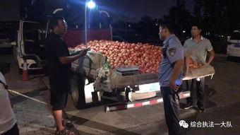 林州吃瓜大事件视频,一场全民参与的乡村狂欢