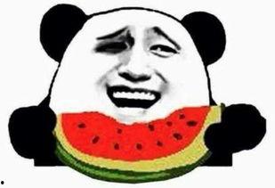 吃瓜群众喝酒吃瓜视频,吃瓜群众欢乐时光