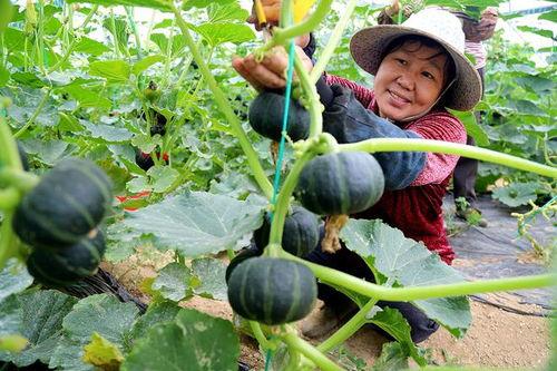 江苏常州虞山吃瓜视频,常州特色美食体验记