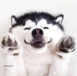 无语吃瓜群众视频素材大全,全网热传！无语吃瓜群众视频素材大盘点