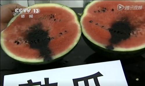 360无死角吃瓜视频,揭秘吃瓜视频背后的精彩瞬间