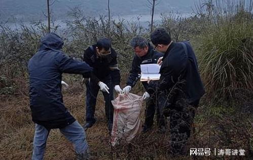 郑州碎尸案吃瓜视频播放