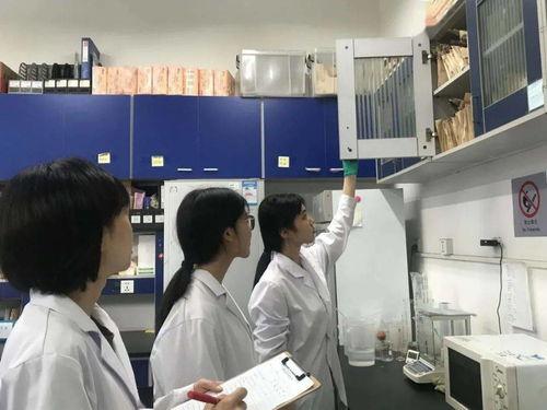 研究生在实验室吃瓜视频,揭秘科研生活趣事