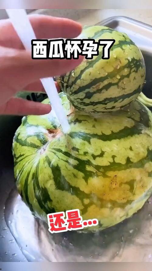 百度吃瓜的搞笑视频,搞笑视频里的欢乐时光