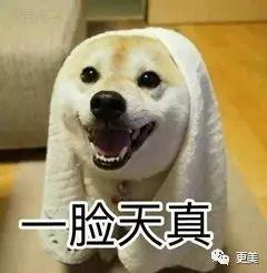 情侣听楼上吵架吃瓜视频,吃瓜群众围观情侣生活点滴