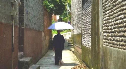 邹城孟子湖吃瓜事件视频,一场网络热议背后的真相