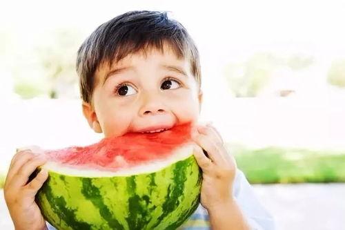 小朋友吃小乳瓜视频大全,小朋友欢乐吃小乳瓜瞬间集锦