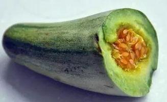 儿童吃牛角瓜视频,趣味视频见证成长瞬间