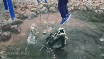 吃瓜老头火视频,揭秘网络红人的崛起之路