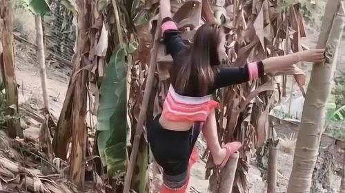 爬到树上吃瓜视频在线观看,带你领略云端美食盛宴