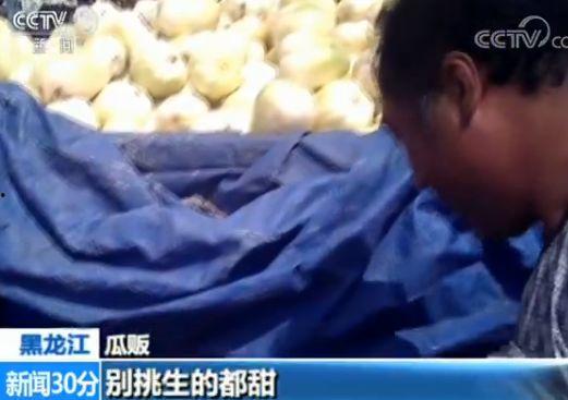 荣奥星城吃瓜视频,揭秘社区热点事件背后的真相