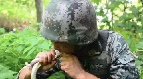 小胖子野外吃大瓜视频大全