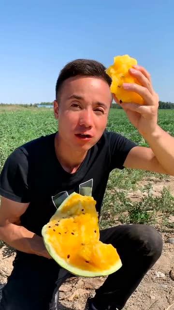 吃瓜真爽视频大全免费,免费畅享欢乐时光