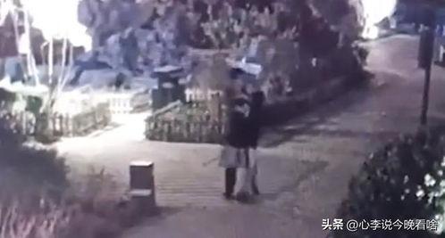 威县吃瓜事件真相视频曝光