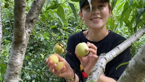 桃树下吃瓜的兔子视频播放,兔子悠闲赏景